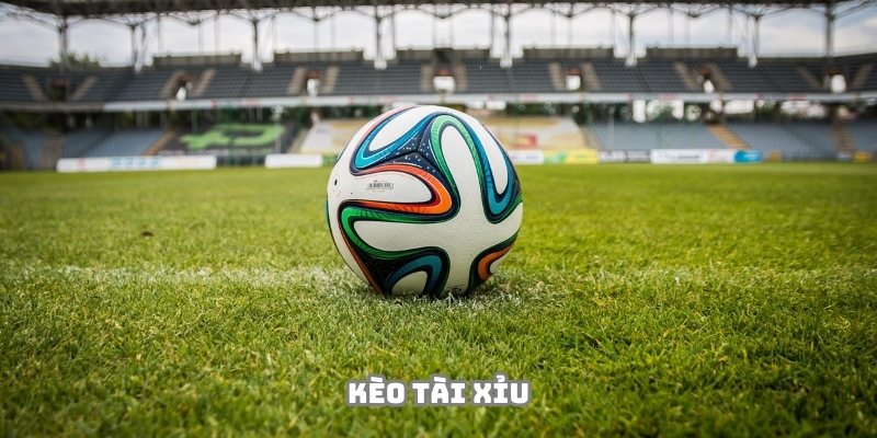 Kèo Tài Xỉu 98Win - Thể Loại Đặc Biệt Hấp Dẫn Năm 2025